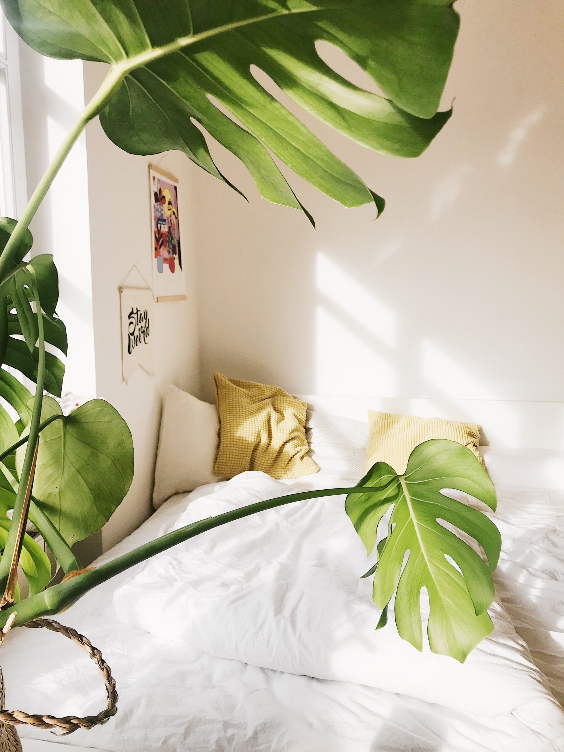 charlota-blunarova-CRg3w541GMY-unsplash